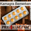 Kamagra Notice levitra1